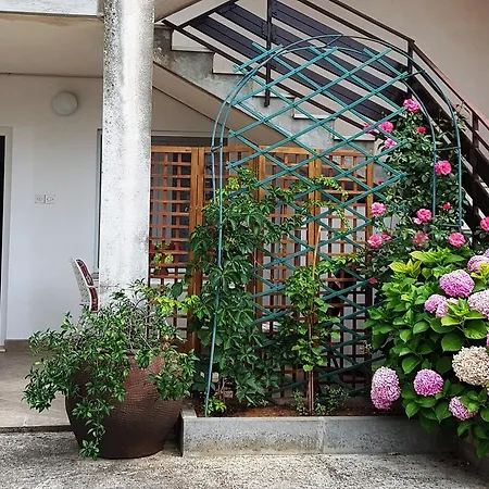 Apartment D. & M. Ap. 3
